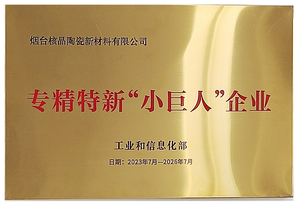 專精特新“小巨人”企業